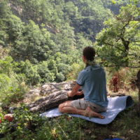 yod sh natuur